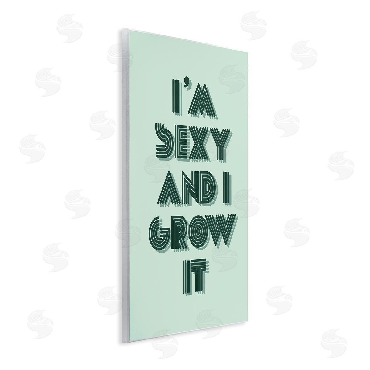 Stupell Studio I'm Sexy And I Grow It Gardening Plant Humor  Wall Plaque Art Print