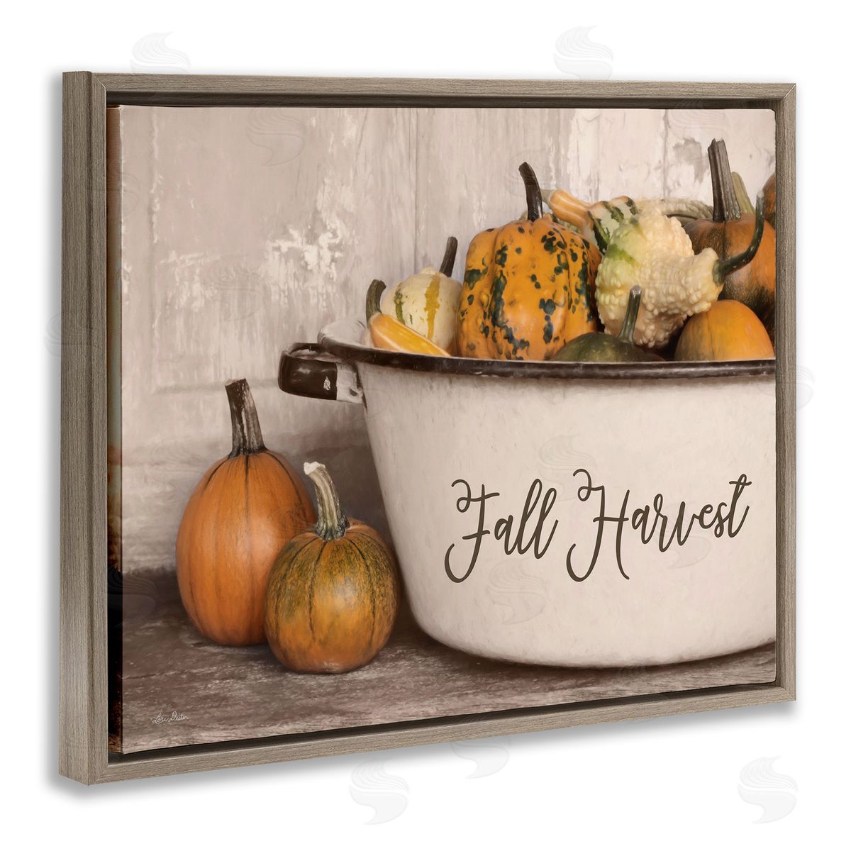 Lori Deiter Fall Harvest Bowl Gourds Pumpkins Arrangement Still Life Brown Floating Frame Canvas Wall Art Print