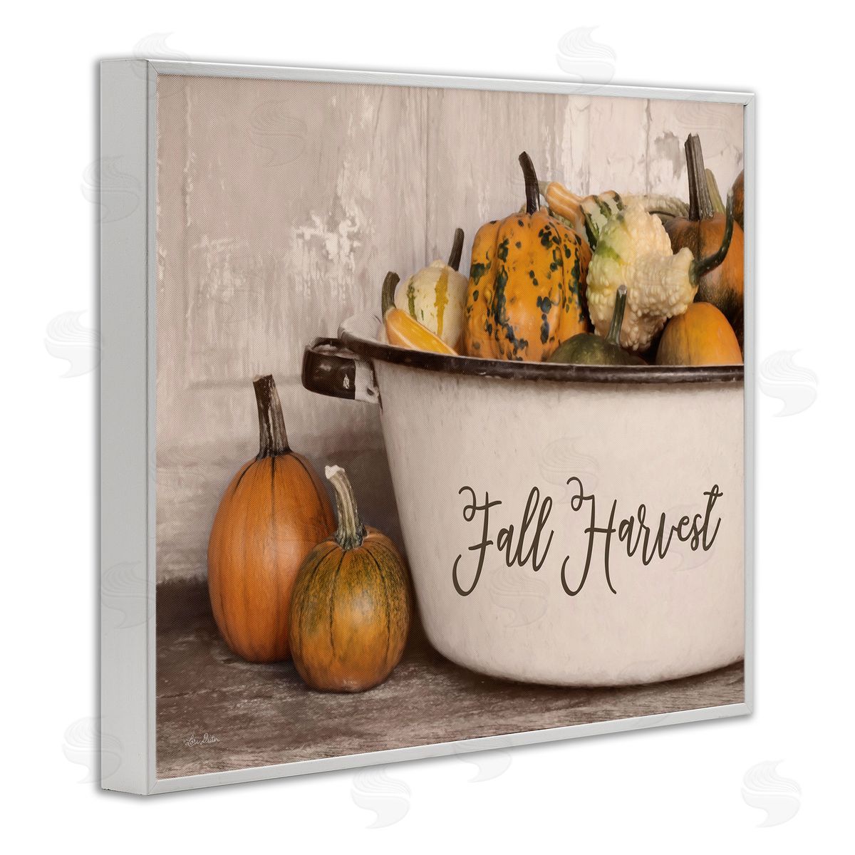 Lori Deiter Fall Harvest Bowl Gourds Pumpkins Arrangement Still Life White Framed Giclee Wall Art Print