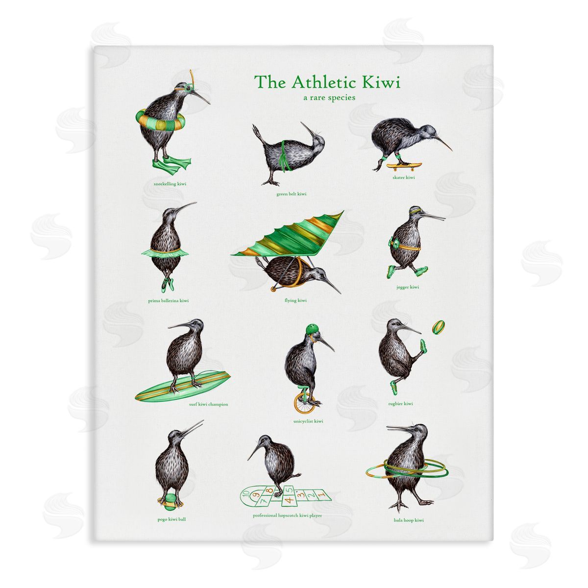 Amelie Legault Athletic Kiwi  Exercises Bird Drawings Chart Stretched Canvas Wall Art Print