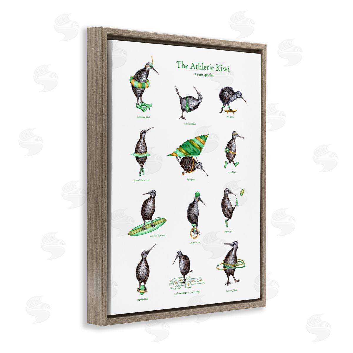 Amelie Legault Athletic Kiwi  Exercises Bird Drawings Chart Brown Floating Frame Canvas Wall Art Print
