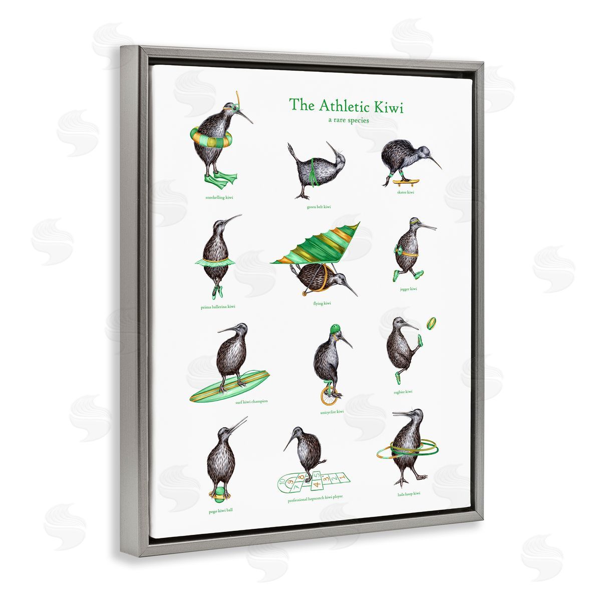 Amelie Legault Athletic Kiwi  Exercises Bird Drawings Chart Gray Floating Frame Canvas Wall Art Print