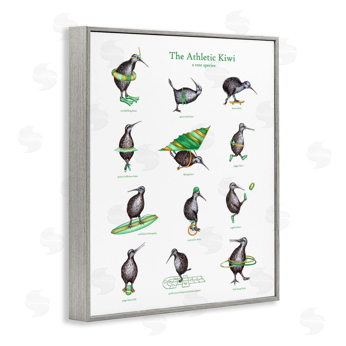 Amelie Legault Athletic Kiwi  Exercises Bird Drawings Chart Gray Framed Giclee Wall Art Print