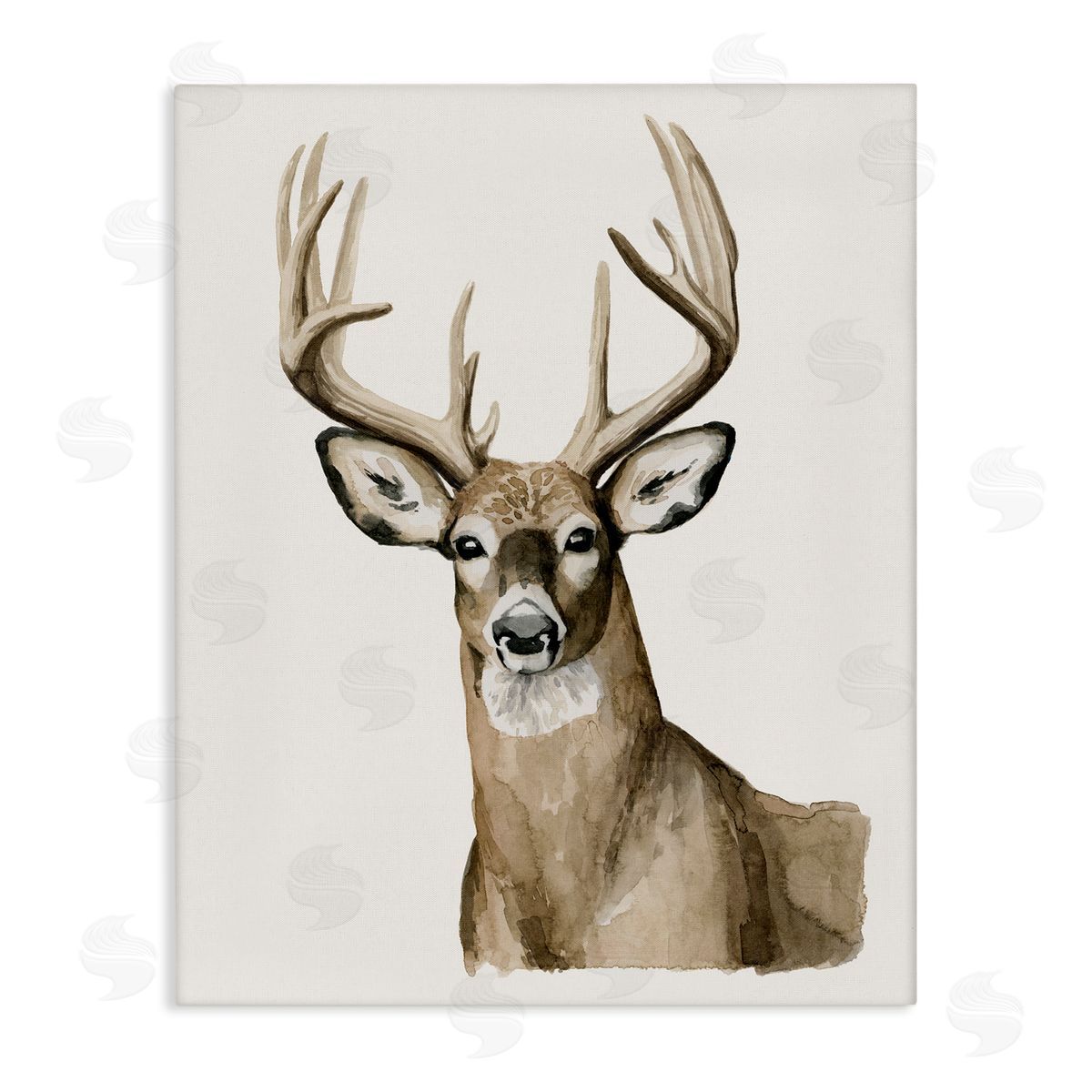 Grace Popp Brown Deer Gazing Antlers Watercolor Portrait  Stretched Canvas Wall Art Print