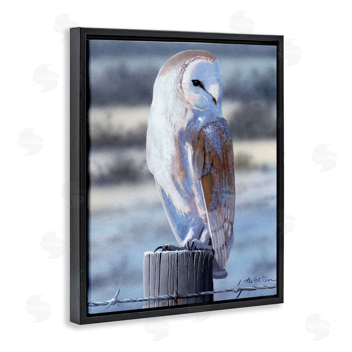 Alan Weston Serene Barn Owl Perched Snow Dusted Fence Black Floating Frame Canvas Wall Art Print