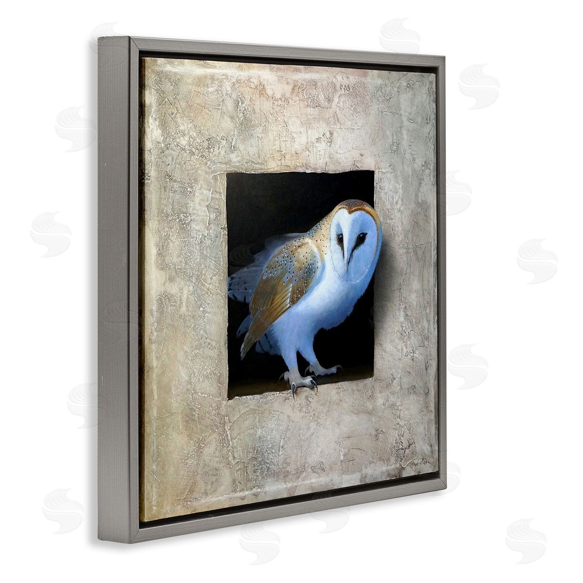 Mysterious Barn Owl Peering Grey Floating Frame Canvas Wall Art, Home Decor by Alan Weston