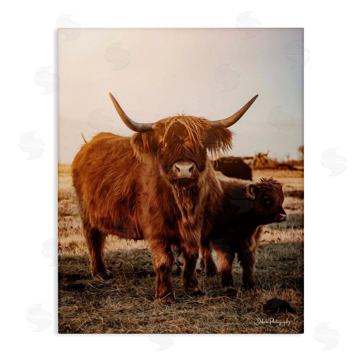 Dakota Diener Longhorn Highland Cattle Cow Warm Sunrise Morning Stretched Canvas Wall Art Print