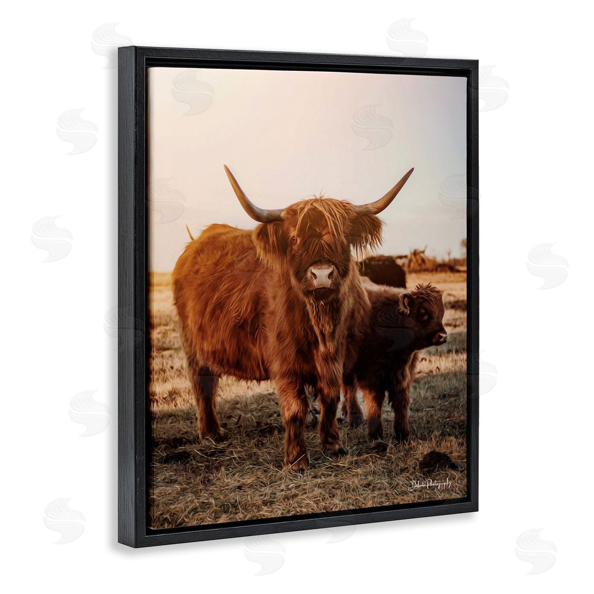 Dakota Diener Longhorn Highland Cattle Cow Warm Sunrise Morning Black Floating Frame Canvas Wall Art Print