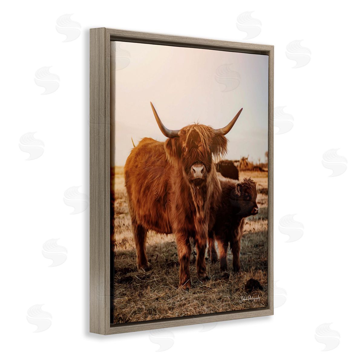 Dakota Diener Longhorn Highland Cattle Cow Warm Sunrise Morning Brown Floating Frame Canvas Wall Art Print