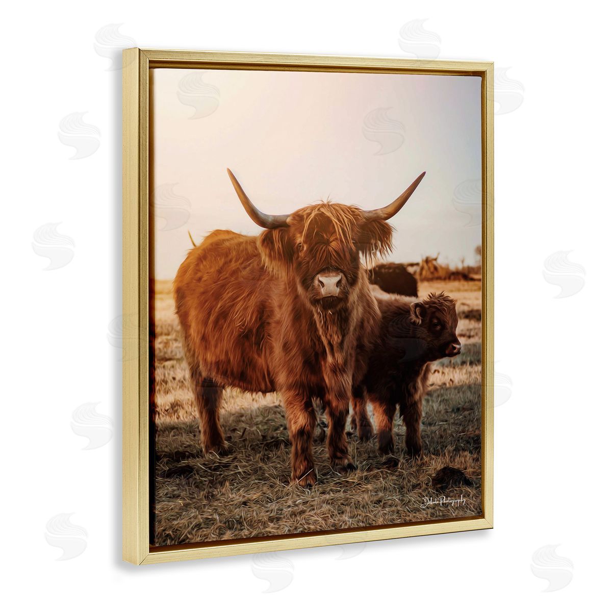Dakota Diener Longhorn Highland Cattle Cow Warm Sunrise Morning Gold Floating Frame Canvas Wall Art Print