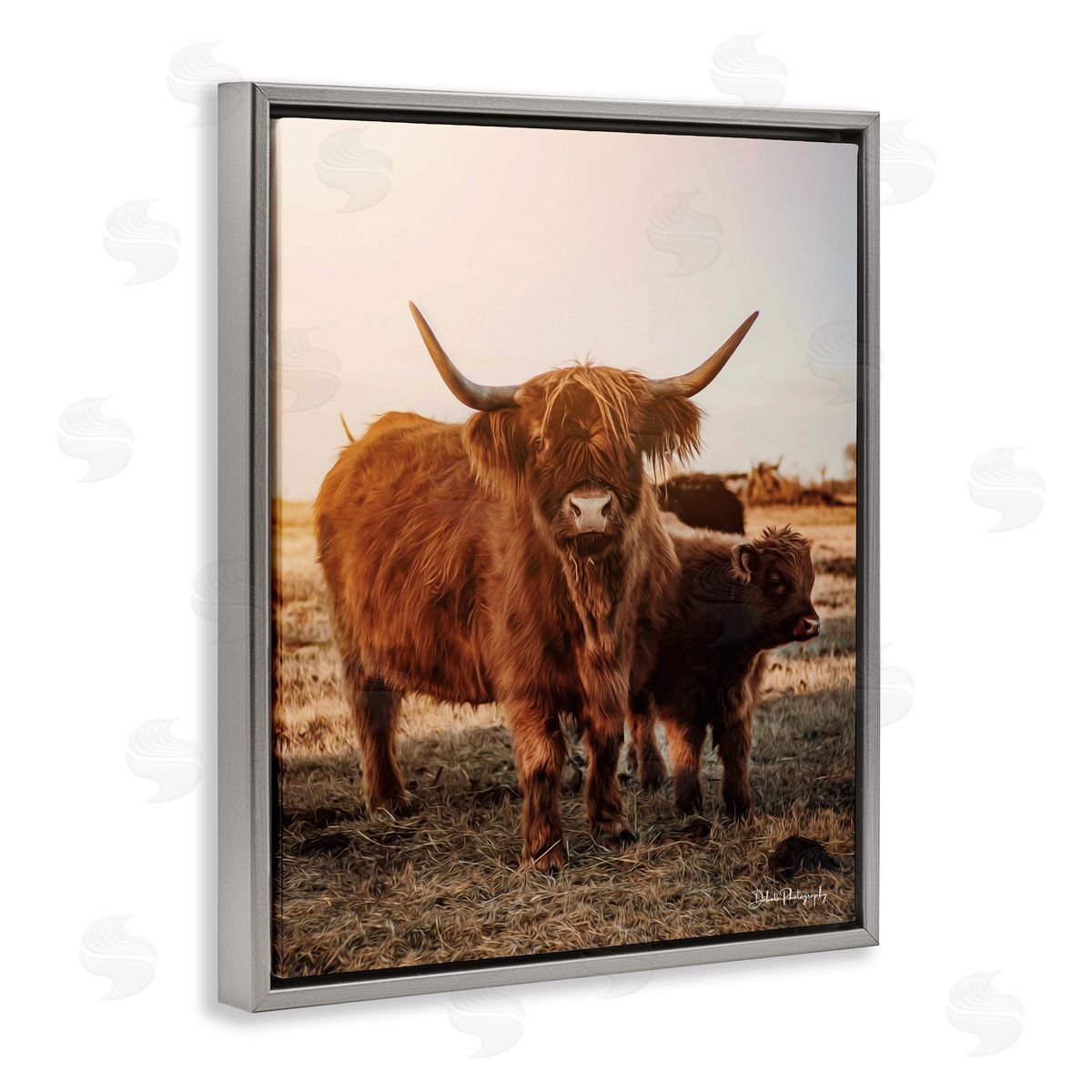 Dakota Diener Longhorn Highland Cattle Cow Warm Sunrise Morning Gray Floating Frame Canvas Wall Art Print