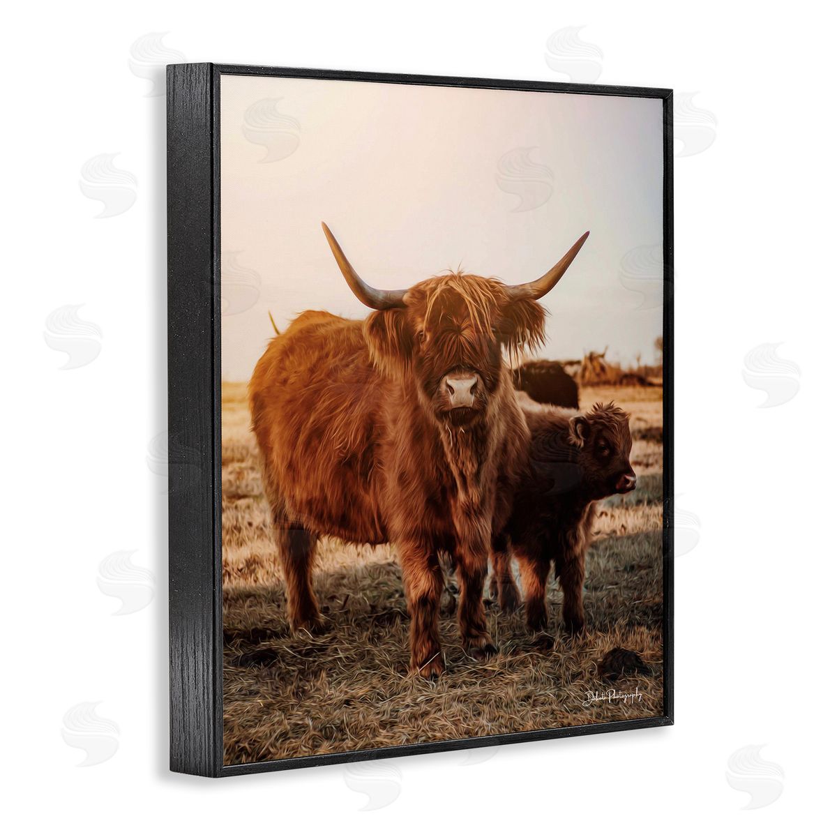 Dakota Diener Longhorn Highland Cattle Cow Warm Sunrise Morning Black Framed Giclee Wall Art Print