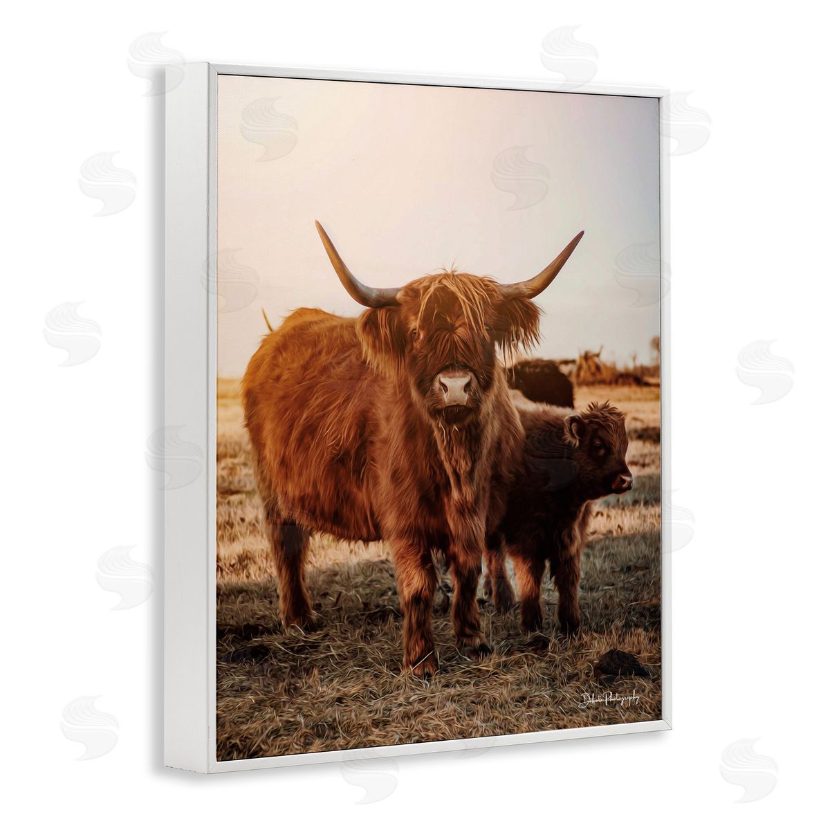 Dakota Diener Longhorn Highland Cattle Cow Warm Sunrise Morning White Framed Giclee Wall Art Print