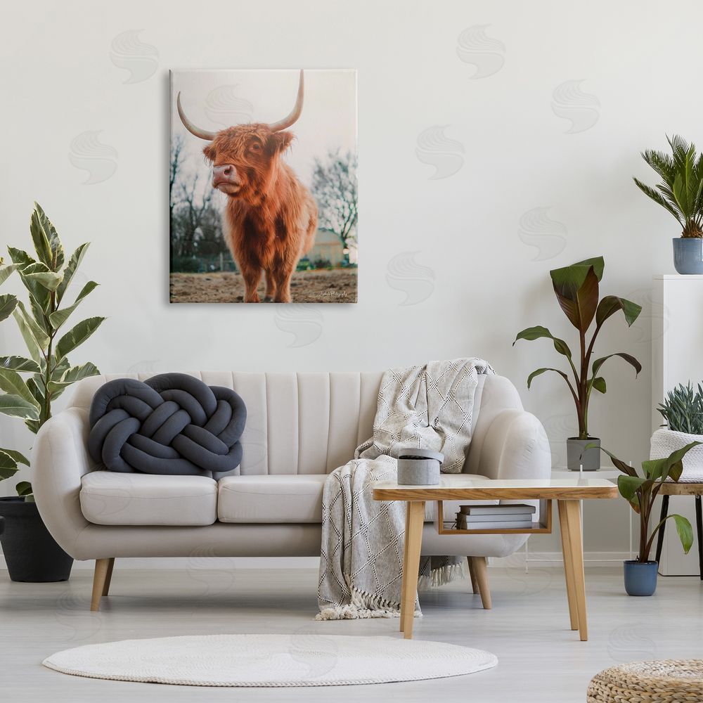 Dakota Diener Highland Cattle Cow Grazing Rural Farmland Sunlight Canvas Wall Art Print in Room