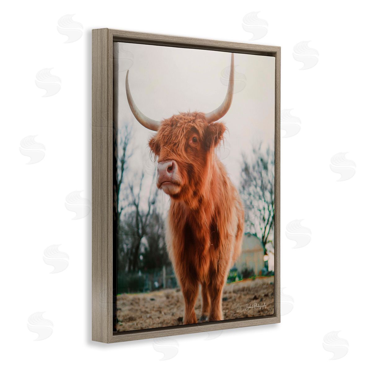 Dakota Diener Highland Cattle Cow Grazing Rural Farmland Sunlight Brown Floating Frame Canvas Wall Art Print