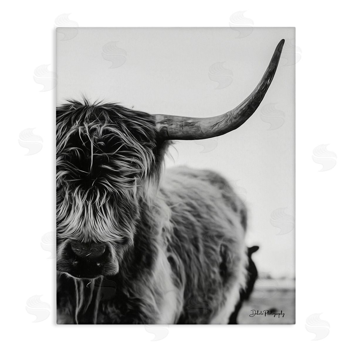 Dakota Diener Highland Cow Cattle Horn Close Up Serene Photography  Stretched Canvas Wall Art Print