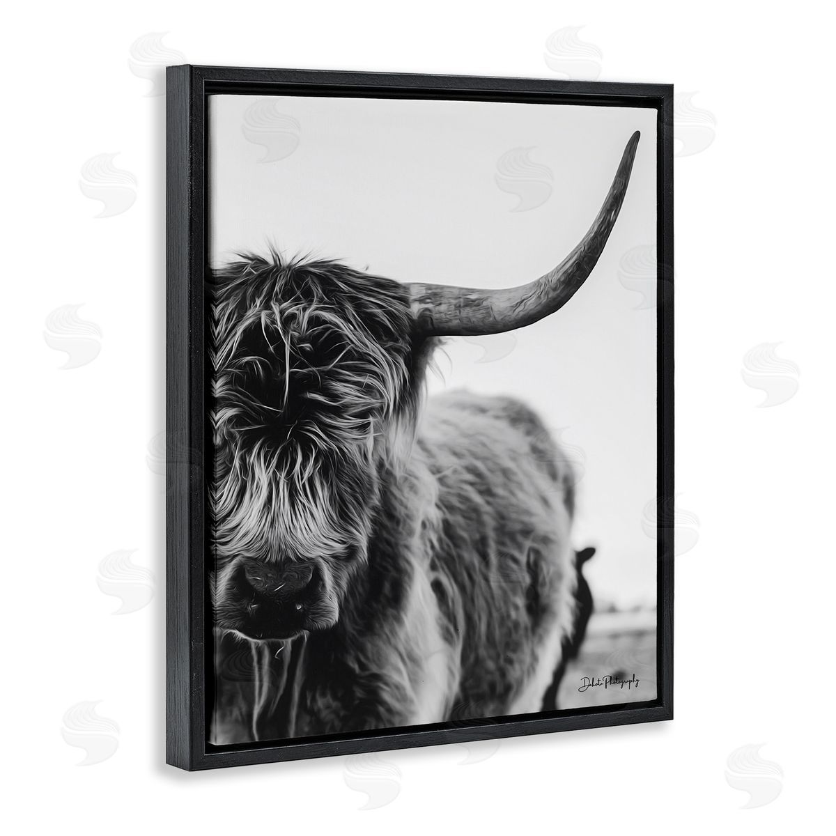 Dakota Diener Highland Cow Cattle Horn Close Up Serene Photography  Black Floating Frame Canvas Wall Art Print