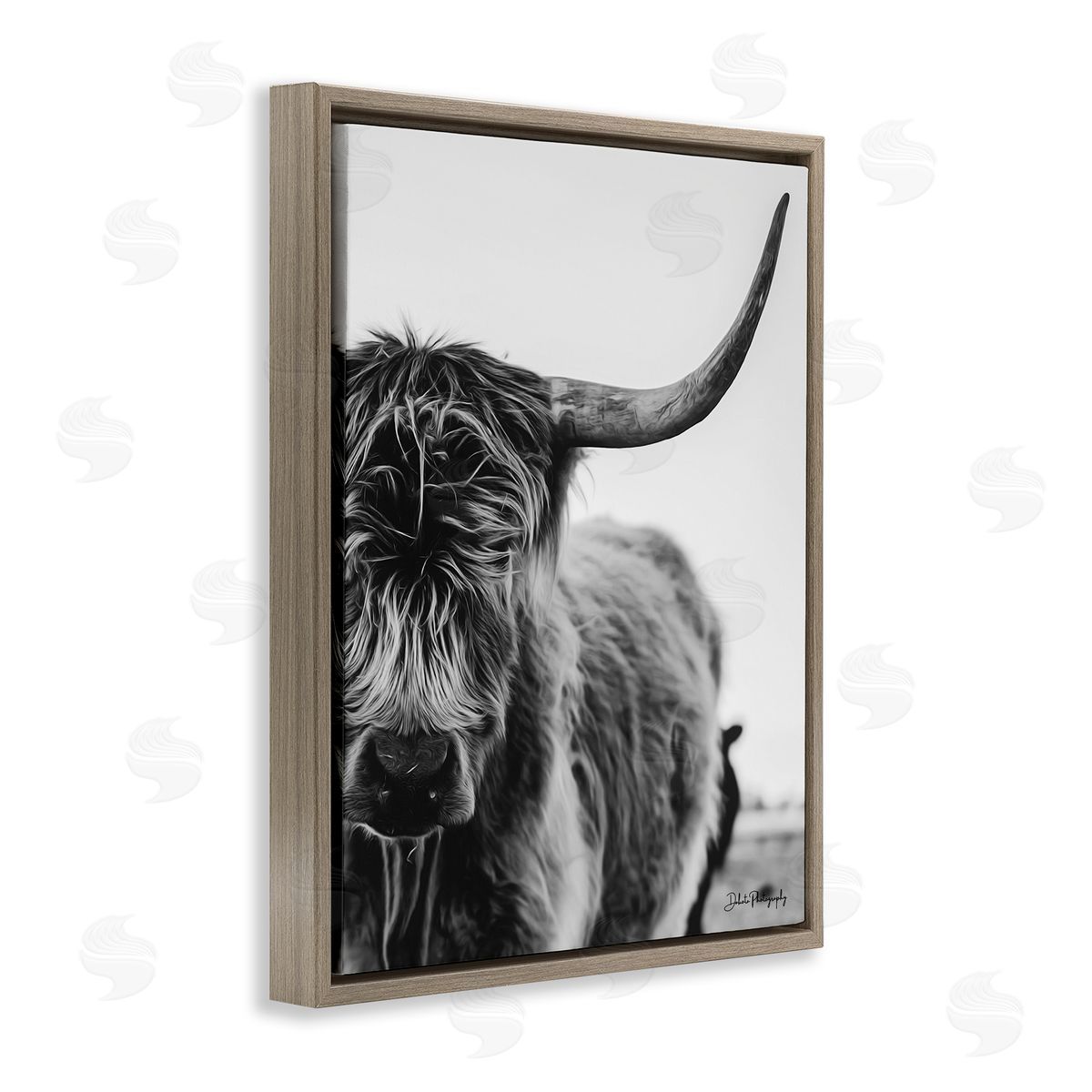 Dakota Diener Highland Cow Cattle Horn Close Up Serene Photography  Brown Floating Frame Canvas Wall Art Print