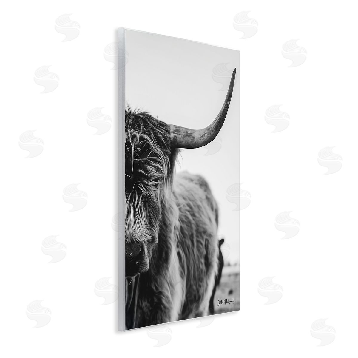 Dakota Diener Highland Cow Cattle Horn Close Up Serene Photography  Wall Plaque Art Print