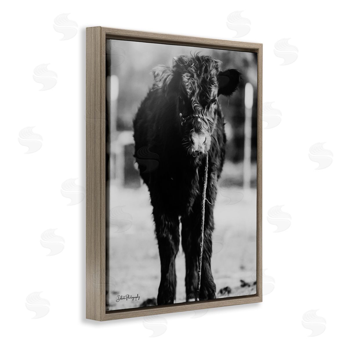 Dakota Diener Baby Cattle Calf Grazing Rural Farm Photography Brown Floating Frame Canvas Wall Art Print