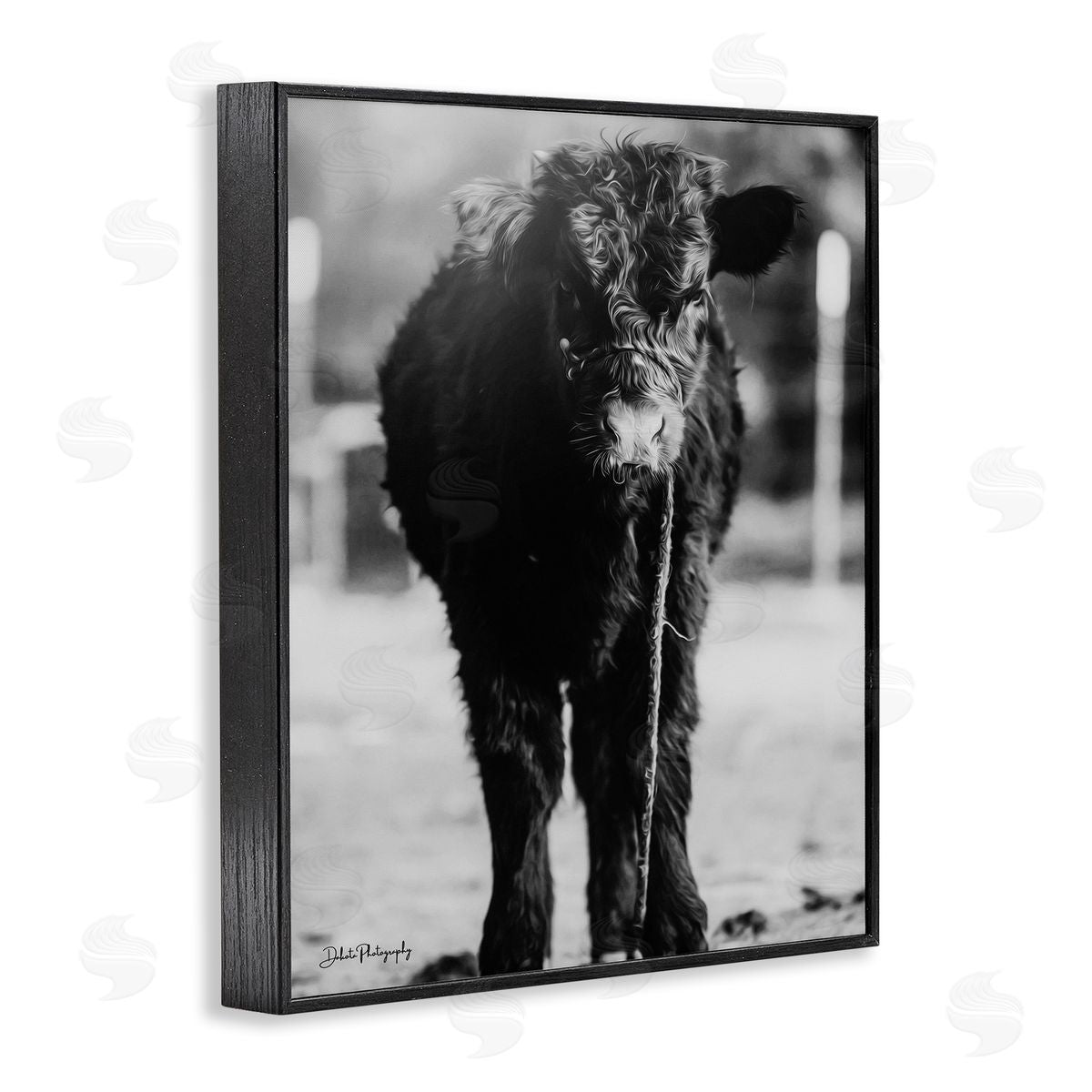 Dakota Diener Baby Cattle Calf Grazing Rural Farm Photography Black Framed Giclee Wall Art Print
