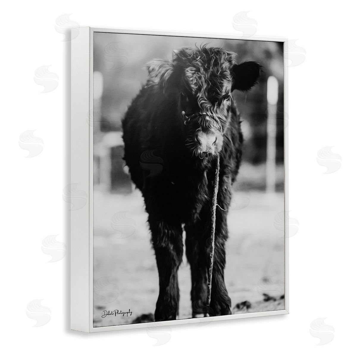 Dakota Diener Baby Cattle Calf Grazing Rural Farm Photography White Framed Giclee Wall Art Print