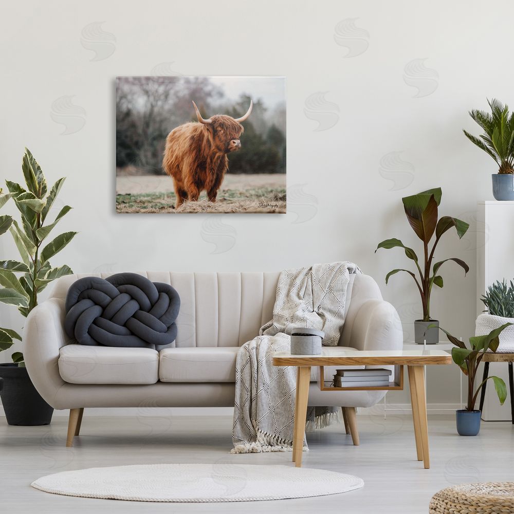 Dakota Diener Serene Highland Cattle Rural Pasture Daylight Sun Canvas Wall Art Print in Room