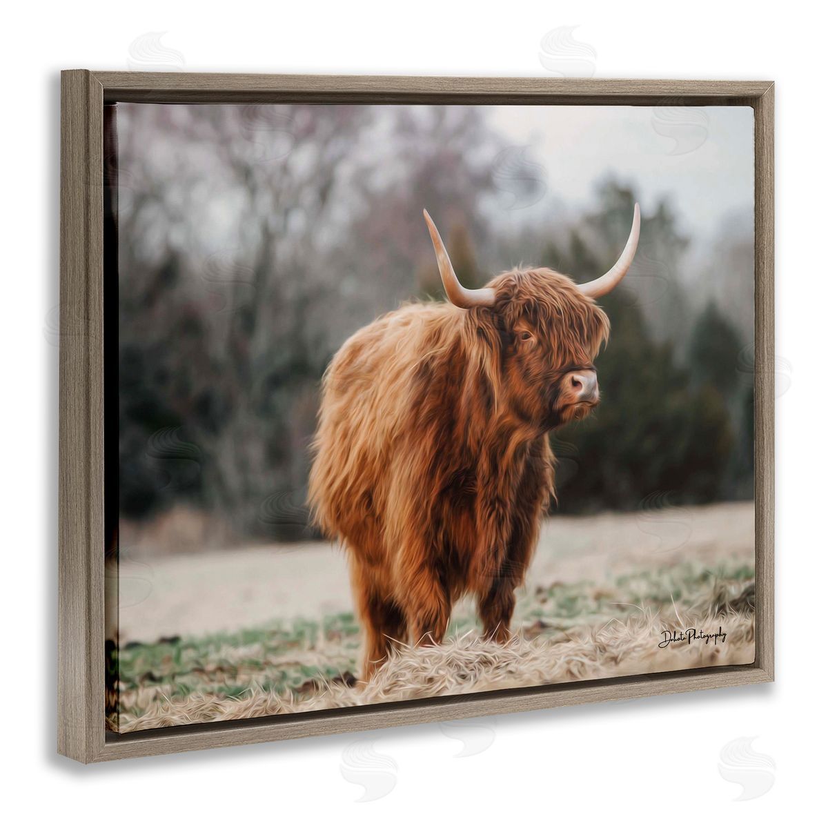Dakota Diener Serene Highland Cattle Rural Pasture Daylight Sun Brown Floating Frame Canvas Wall Art Print