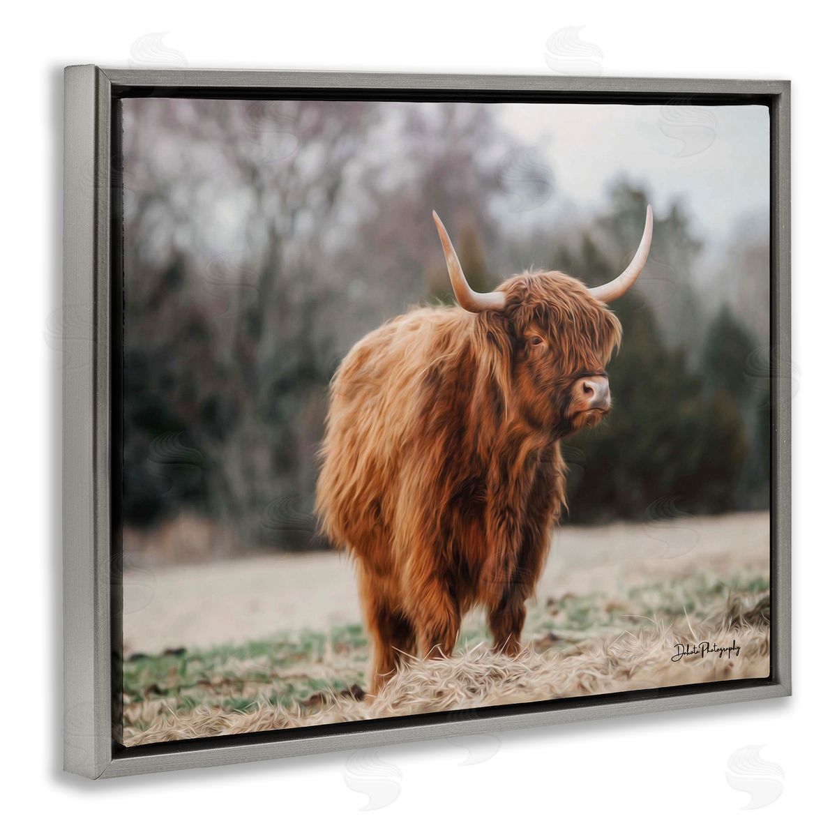Dakota Diener Serene Highland Cattle Rural Pasture Daylight Sun Gray Floating Frame Canvas Wall Art Print
