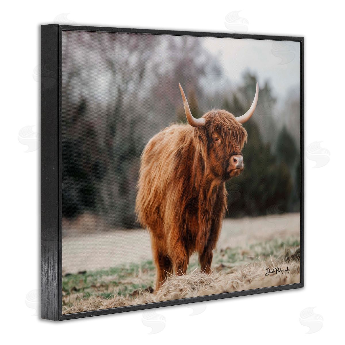 Dakota Diener Serene Highland Cattle Rural Pasture Daylight Sun Black Framed Giclee Wall Art Print