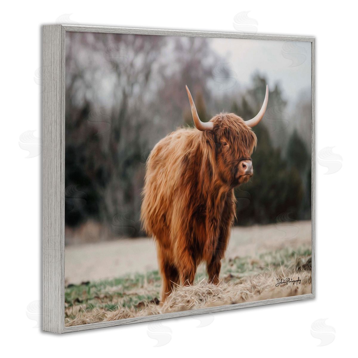 Dakota Diener Serene Highland Cattle Rural Pasture Daylight Sun Gray Framed Giclee Wall Art Print