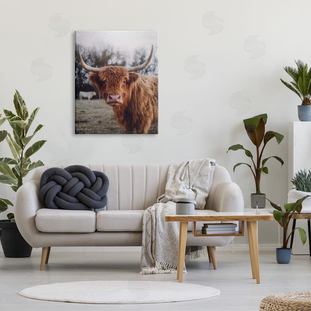 Dakota Diener Highland Cattle Cow Gazing Warm Sunny Portrait Canvas Wall Art Print in Room