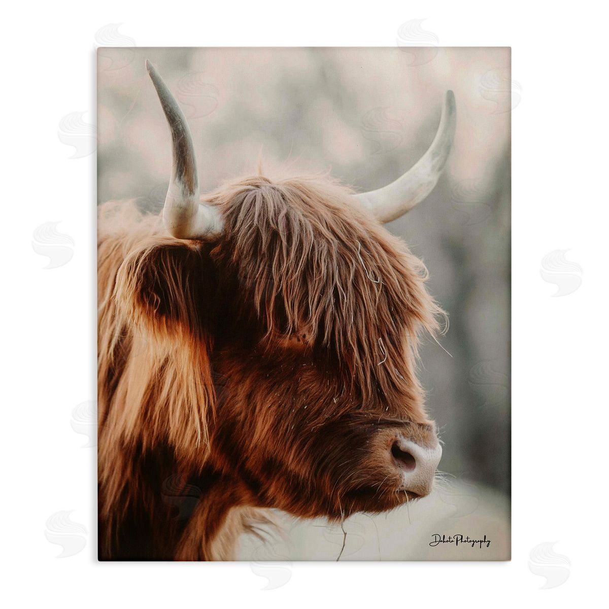 Dakota Diener Calm Highland Cow Cattle Portrait Horns Photography Stretched Canvas Wall Art Print