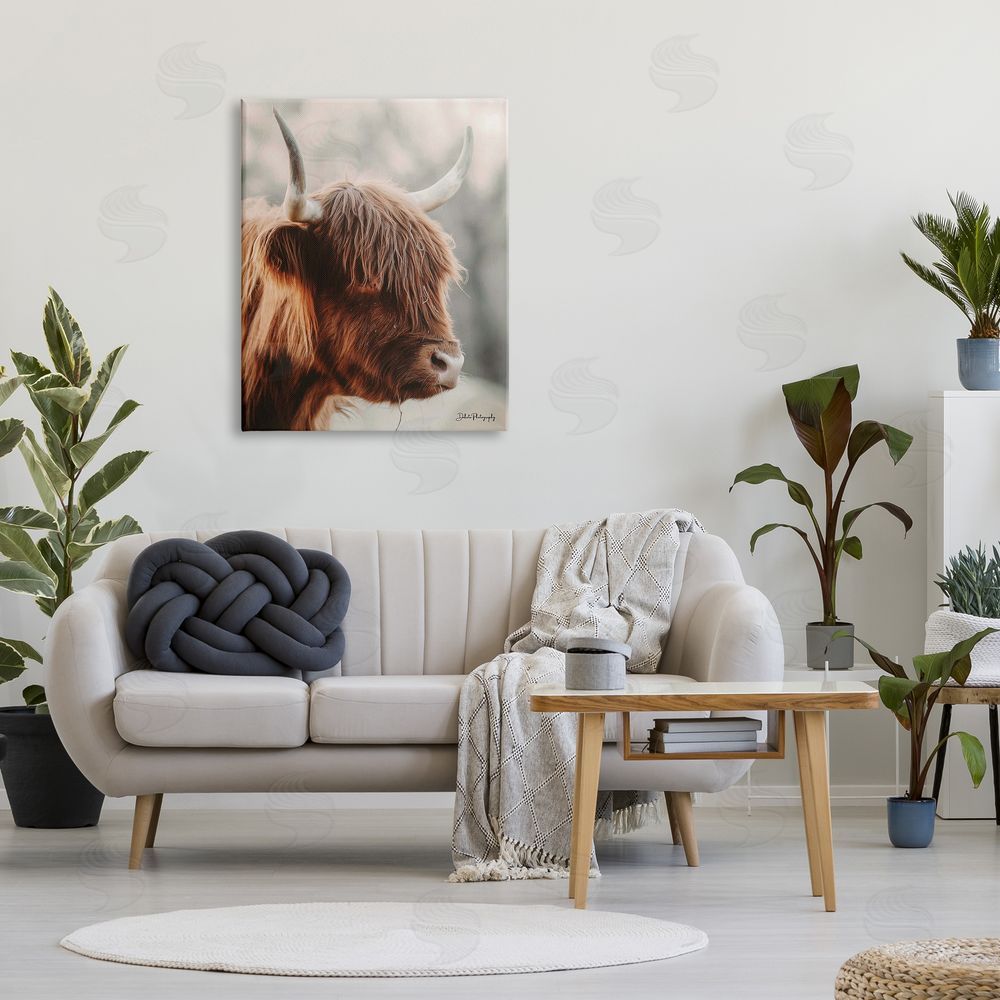 Dakota Diener Calm Highland Cow Cattle Portrait Horns Photography Canvas Wall Art Print in Room