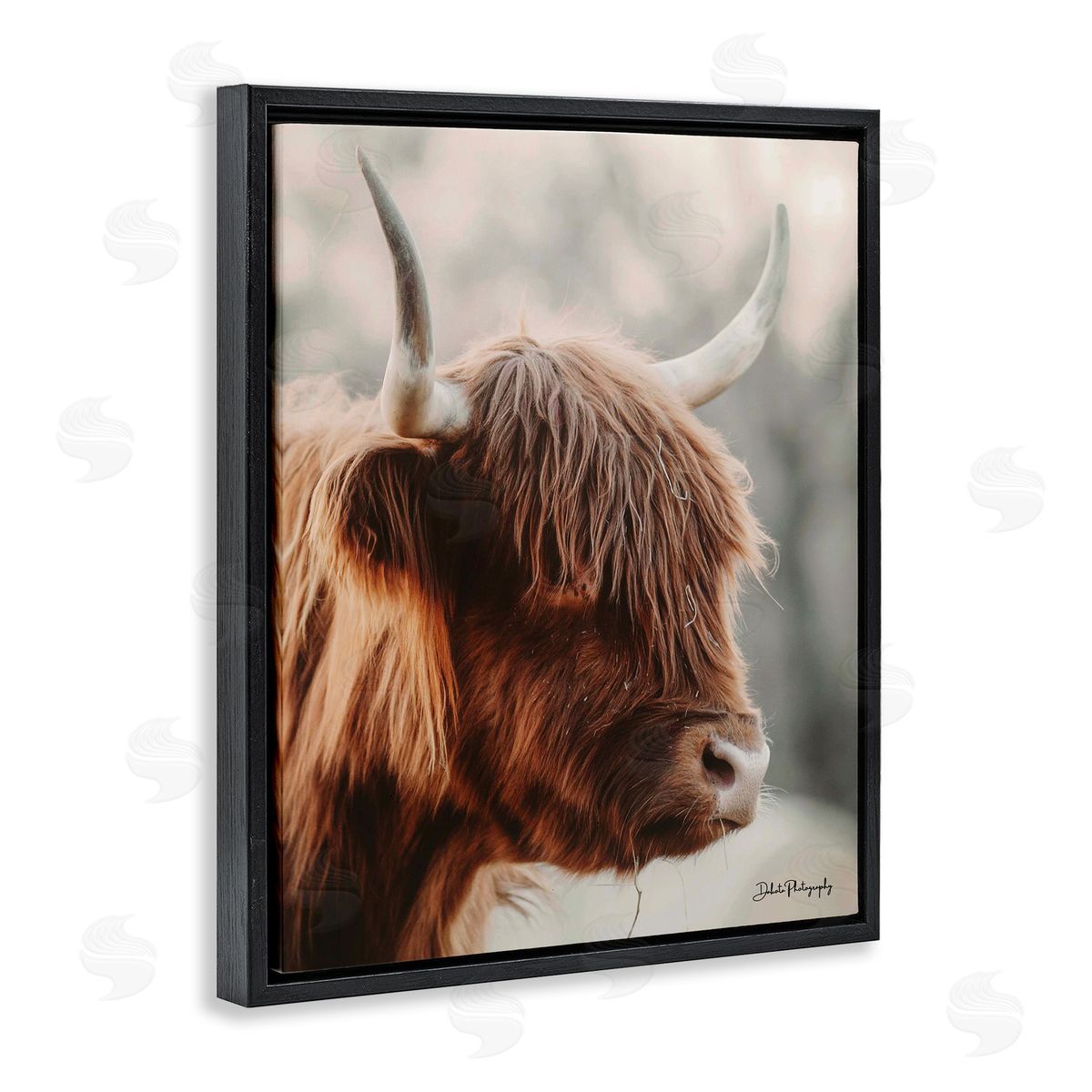 Dakota Diener Calm Highland Cow Cattle Portrait Horns Photography Black Floating Frame Canvas Wall Art Print
