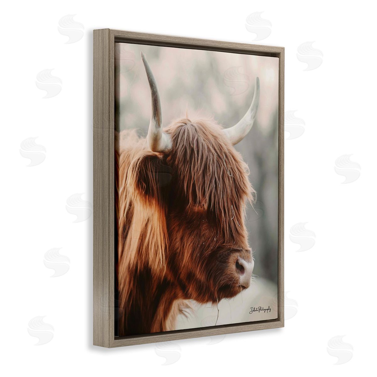 Dakota Diener Calm Highland Cow Cattle Portrait Horns Photography Brown Floating Frame Canvas Wall Art Print