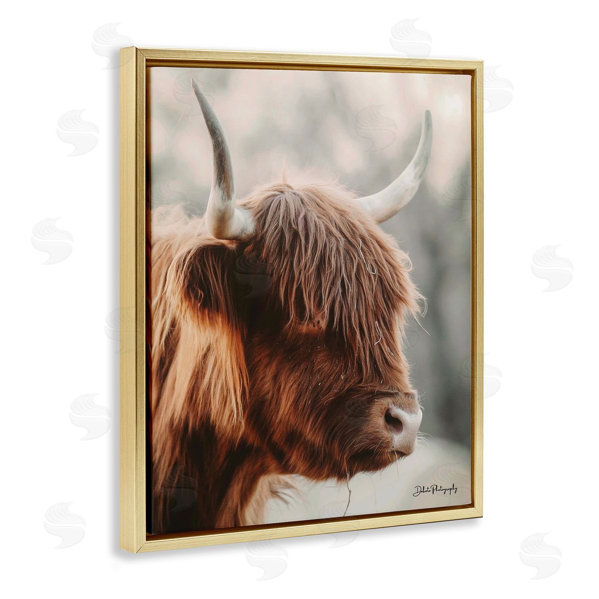 Dakota Diener Calm Highland Cow Cattle Portrait Horns Photography Gold Floating Frame Canvas Wall Art Print