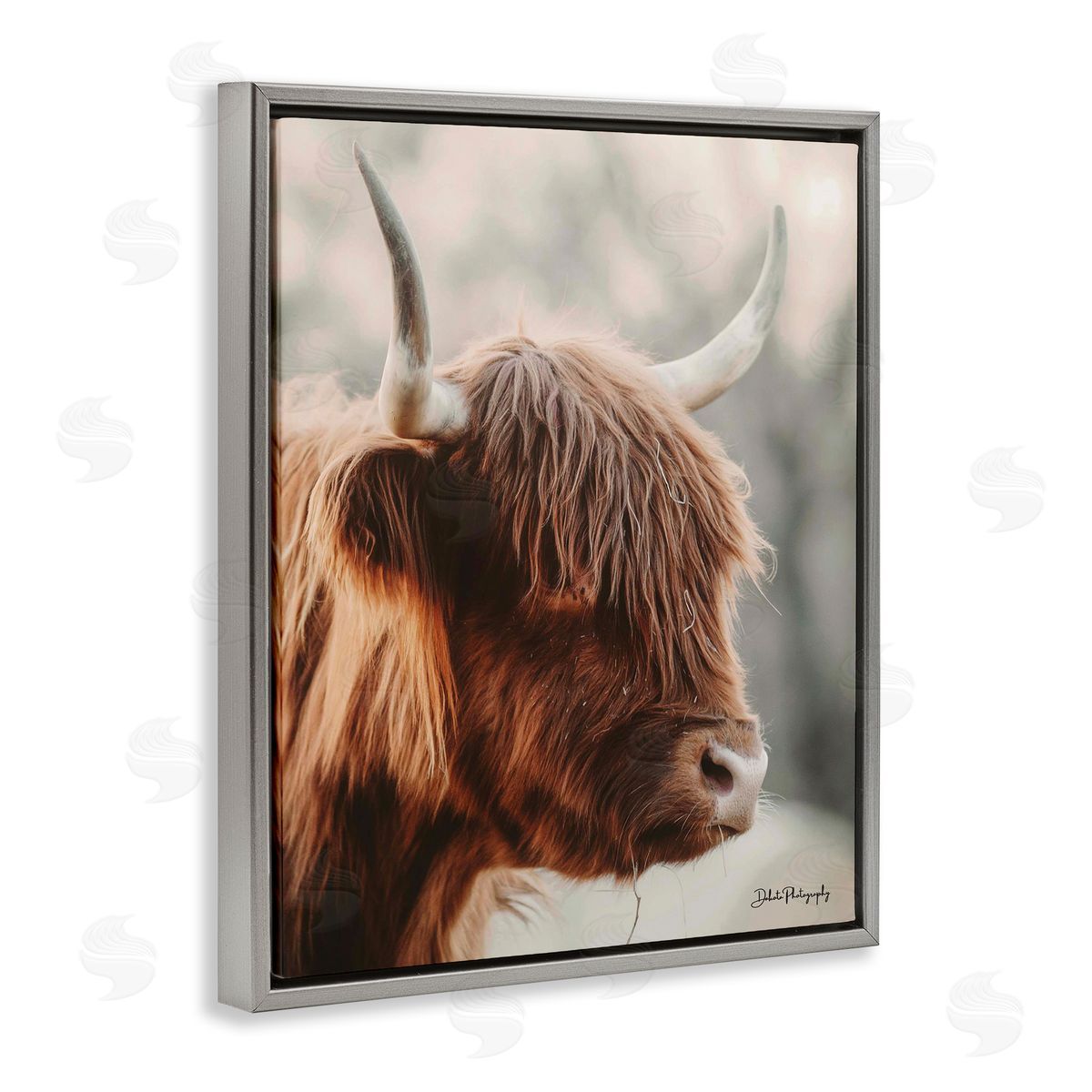 Dakota Diener Calm Highland Cow Cattle Portrait Horns Photography Gray Floating Frame Canvas Wall Art Print