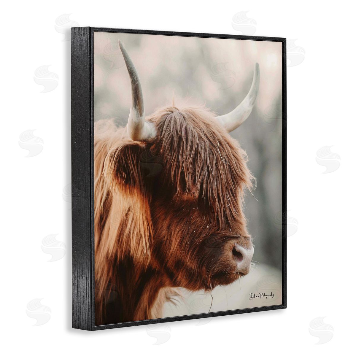 Dakota Diener Calm Highland Cow Cattle Portrait Horns Photography Black Framed Giclee Wall Art Print