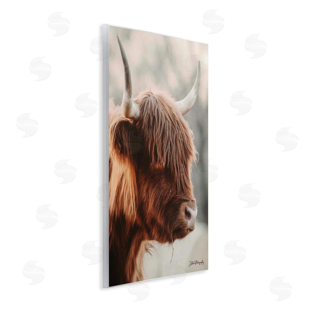 Dakota Diener Calm Highland Cow Cattle Portrait Horns Photography Wall Plaque Art Print