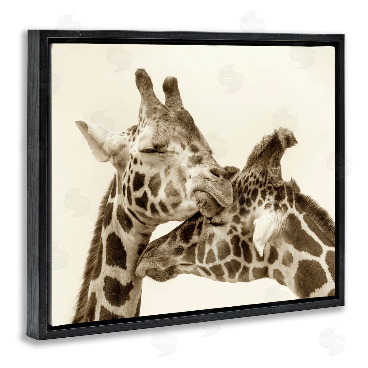 Carrie Ann Grippo-Pike Sweet Cuddling Giraffes Sepia Wildlife Photography Portrait Black Floating Frame Canvas Wall Art Print