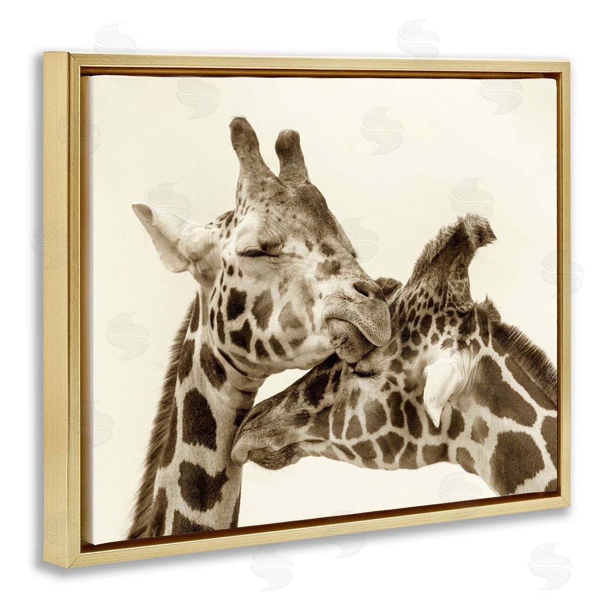 Carrie Ann Grippo-Pike Sweet Cuddling Giraffes Sepia Wildlife Photography Portrait Gold Floating Frame Canvas Wall Art Print