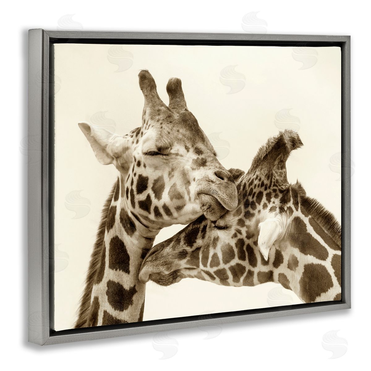 Carrie Ann Grippo-Pike Sweet Cuddling Giraffes Sepia Wildlife Photography Portrait Gray Floating Frame Canvas Wall Art Print
