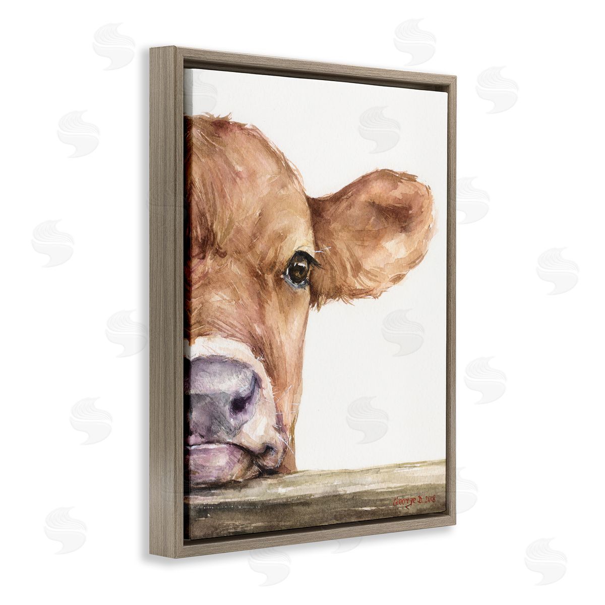 George Dyachenko Baby Calf Cow Resting Head Up-Close Rural  Brown Floating Frame Canvas Wall Art Print