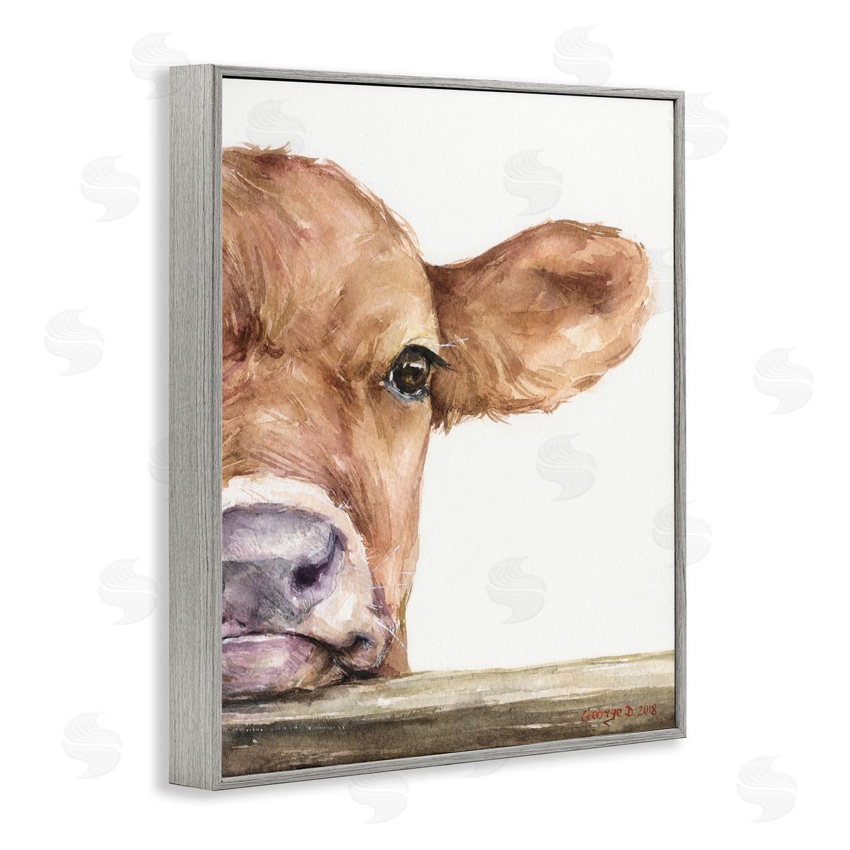 George Dyachenko Baby Calf Cow Resting Head Up-Close Rural  Gray Framed Giclee Wall Art Print