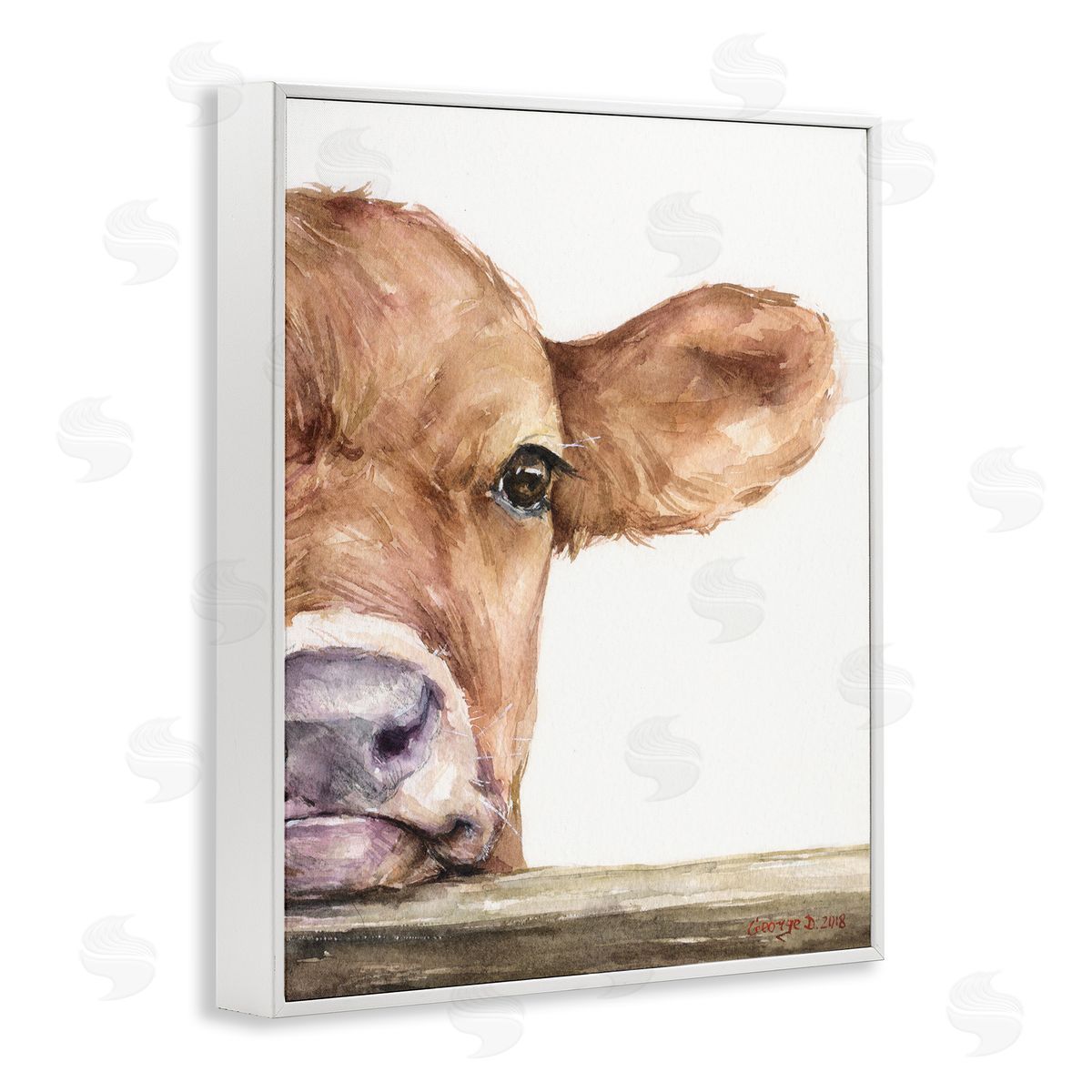 George Dyachenko Baby Calf Cow Resting Head Up-Close Rural  White Framed Giclee Wall Art Print