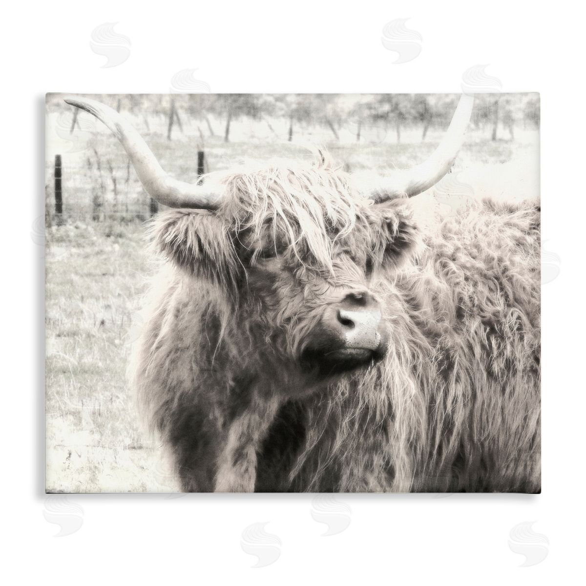Graffitee Studios Rustic Farm Highland Cattle Cow Monochrome Photography Stretched Canvas Wall Art Print