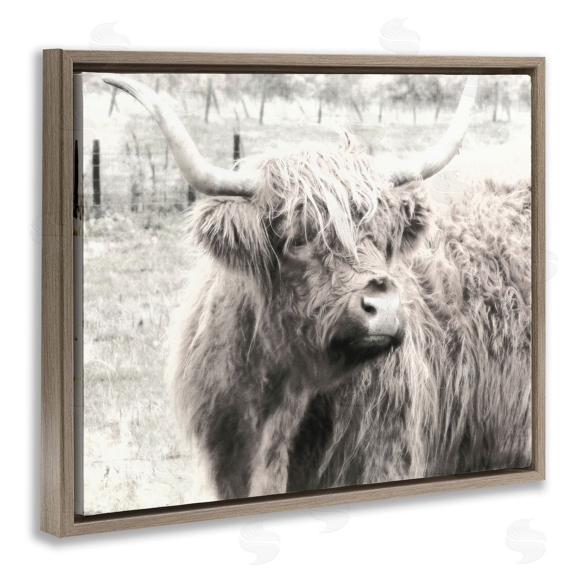 Graffitee Studios Rustic Farm Highland Cattle Cow Monochrome Photography Brown Floating Frame Canvas Wall Art Print
