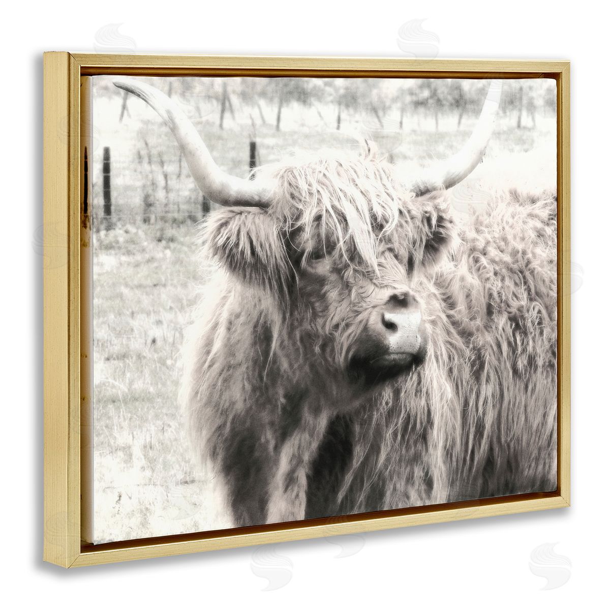 Graffitee Studios Rustic Farm Highland Cattle Cow Monochrome Photography Gold Floating Frame Canvas Wall Art Print