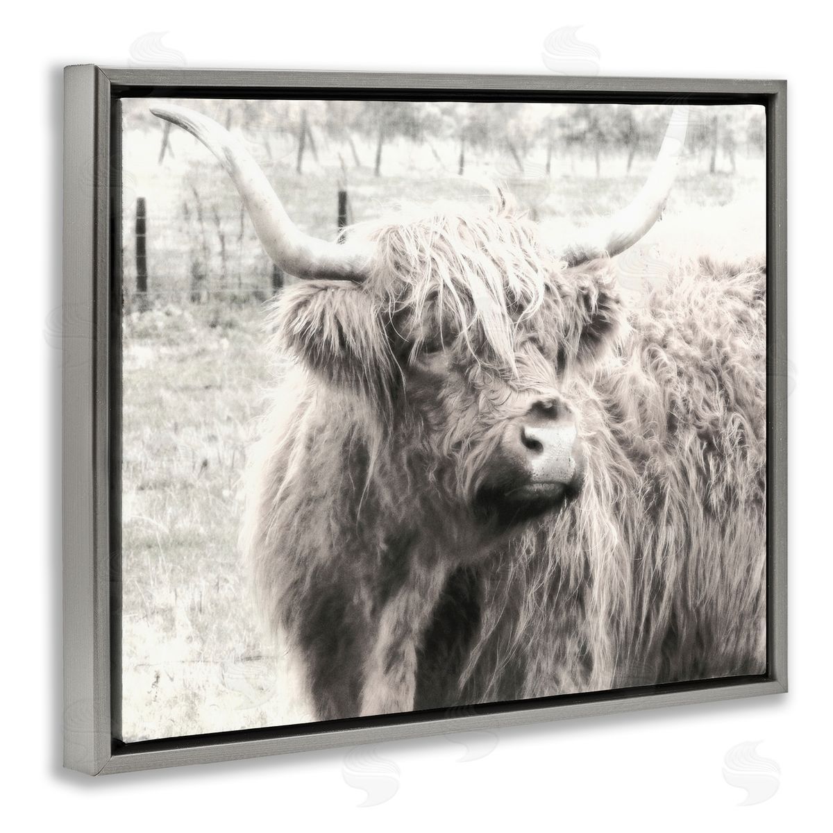 Graffitee Studios Rustic Farm Highland Cattle Cow Monochrome Photography Gray Floating Frame Canvas Wall Art Print